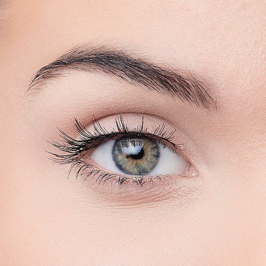 DEPEND NATURAL ARTIFICIAL EYELASHES KNOWLEDGE